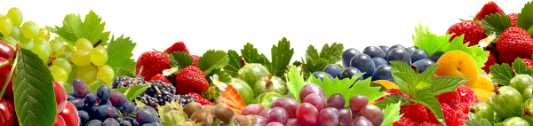 Фрукты полоса