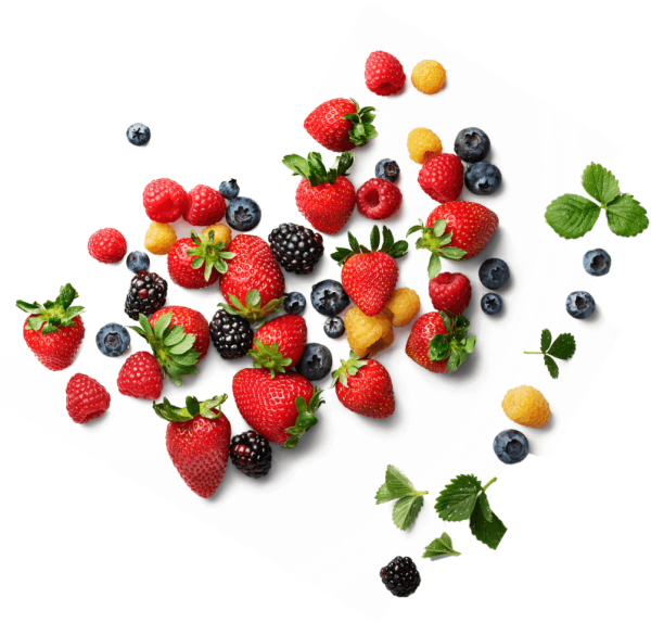 Ягоды вид сверху