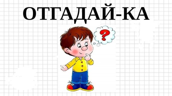 Отгадайка для детей
