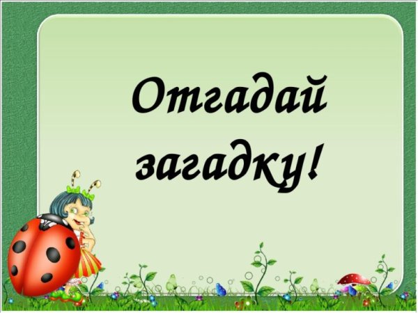 Отгадайте загадку