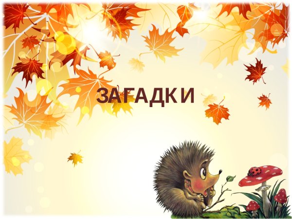 Фон для загадок