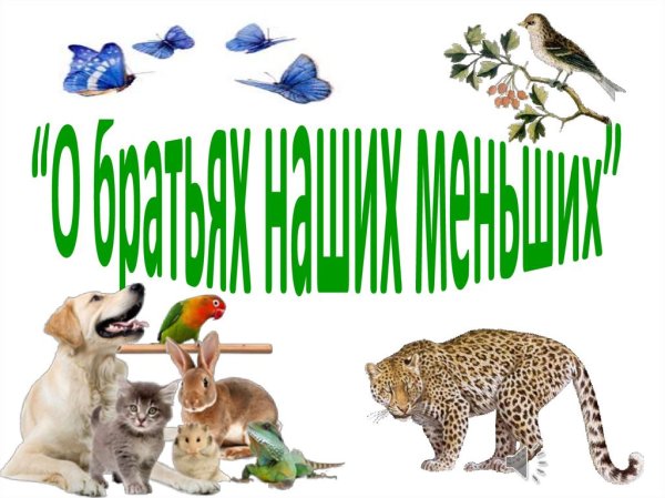 В мире животных надпись