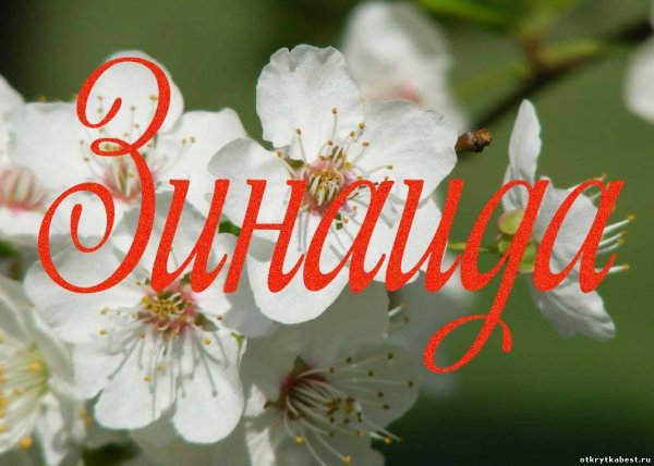 Открытки Зинаиде