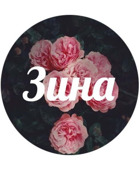 Цветы для Зины