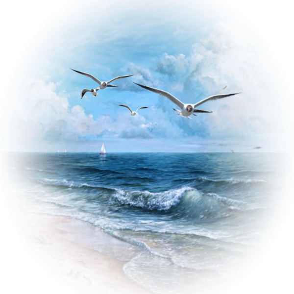 Чайка над морем