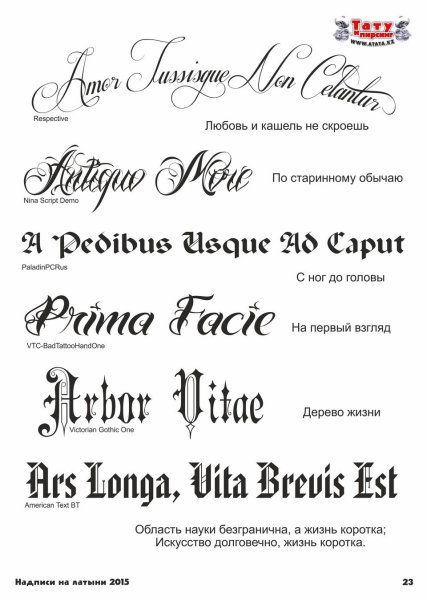 Тату надписи с переводом для мужчин на латинском