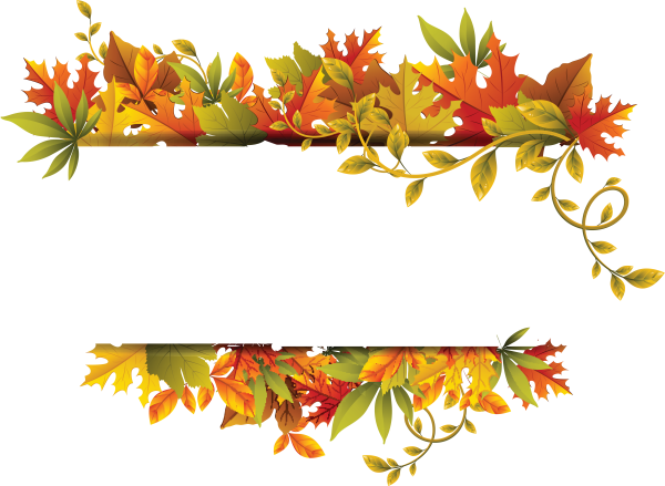 Акация осенняя