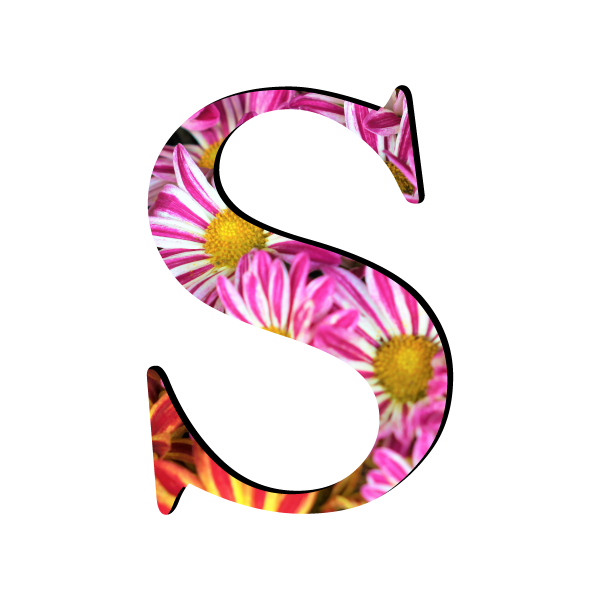 Буква s на прозрачном фоне для фотошопа