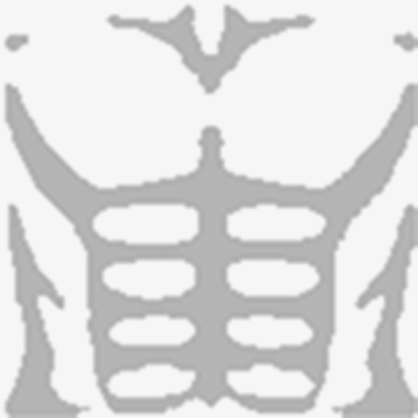 Roblox t Shirt мускулы