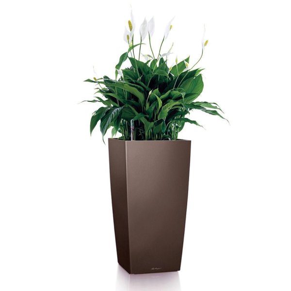 Напольные кашпо без цветов