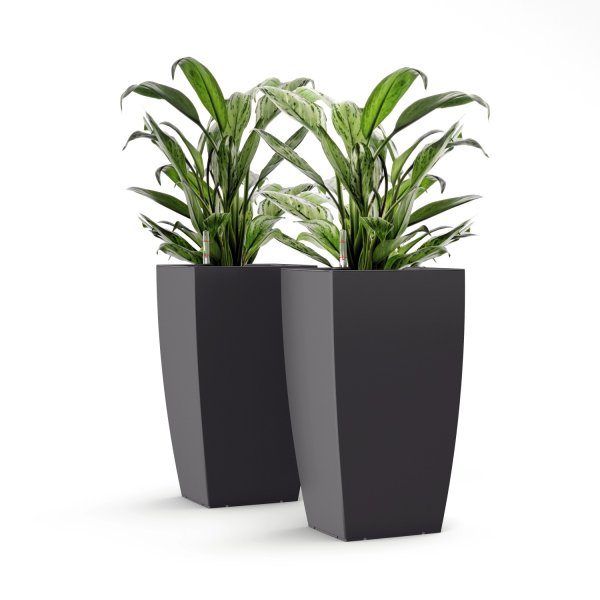 Цветок в горшке напольный