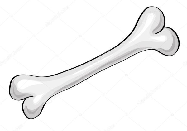 Кости ребенка