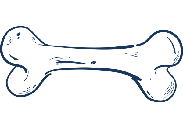 Косточка для собак рисунок