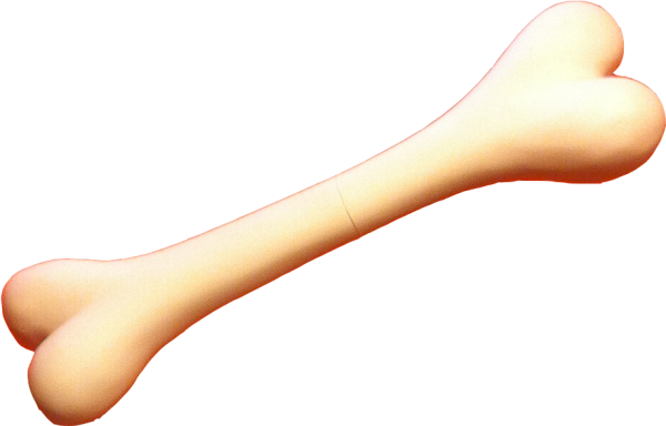 Кость для детей