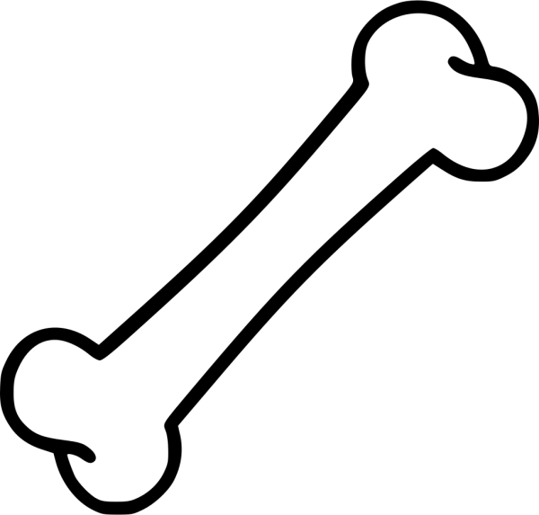 Кость рисунок