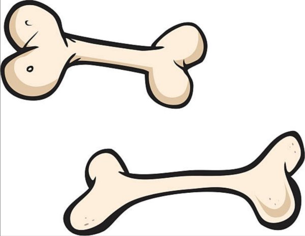 Кость мультяшный