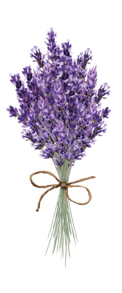 Веточка лаванды