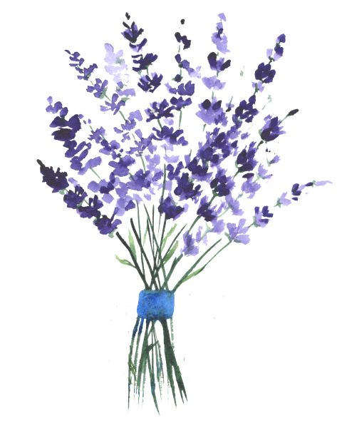 Веточка лаванды