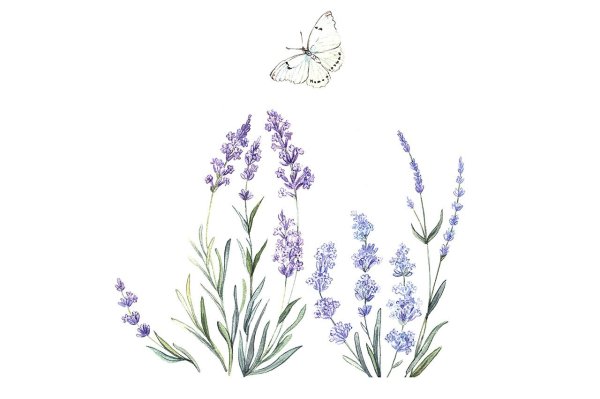 Акварельная Лаванда