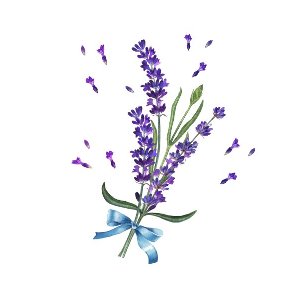 Лаванда акварель