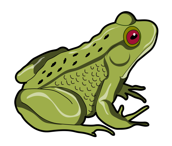 Лягушка рисунок для детей