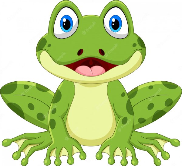 Лягушка иллюстрация для детей
