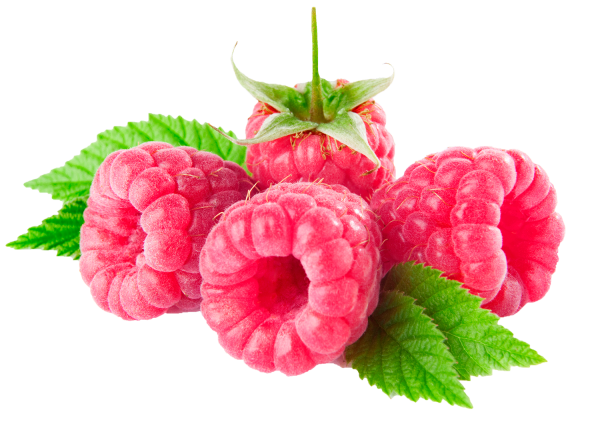 Ягода малина на прозрачном фоне