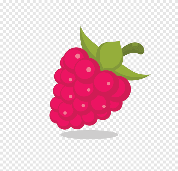 Малина рисунок