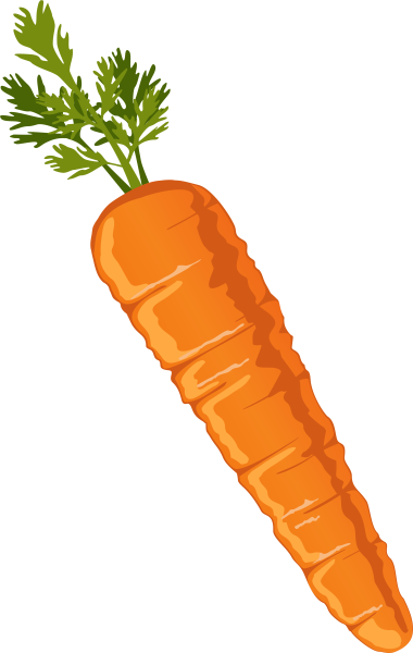 Морковь для дошкольников