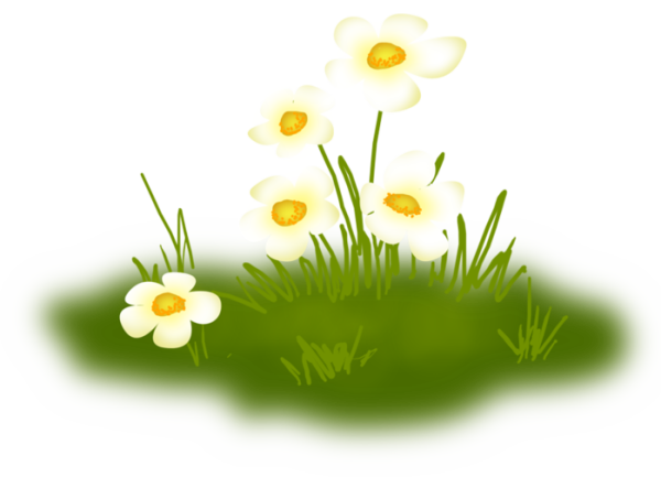 Поляна на прозрачном фоне