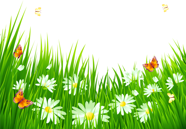 Травка с цветочками