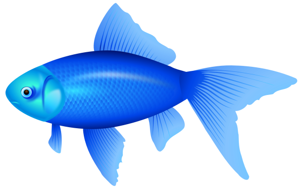 Рыбка синий