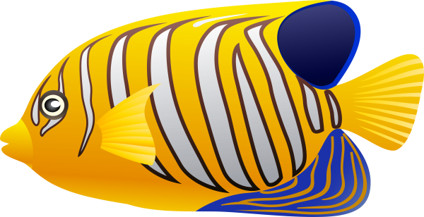 Рыбки морские на прозрачном фоне