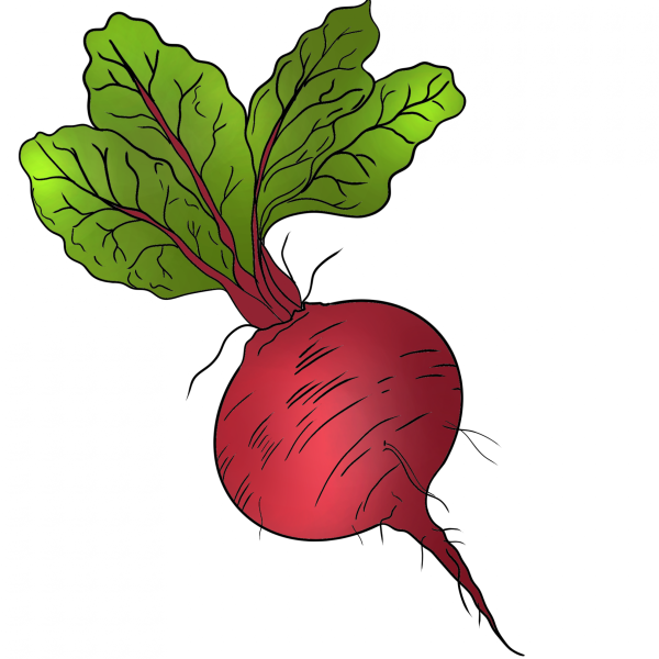 Свекла мультяшная