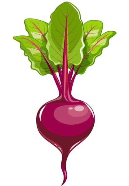 Свекла для детей