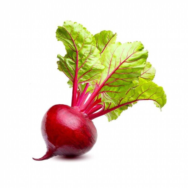 Свекла (Beet) Mammoth Red Mangel Beet f1