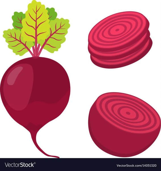 Свекла картинки для детей цветные