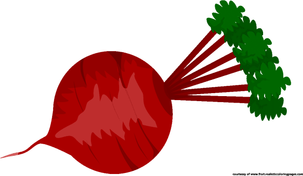 Свекла вектор