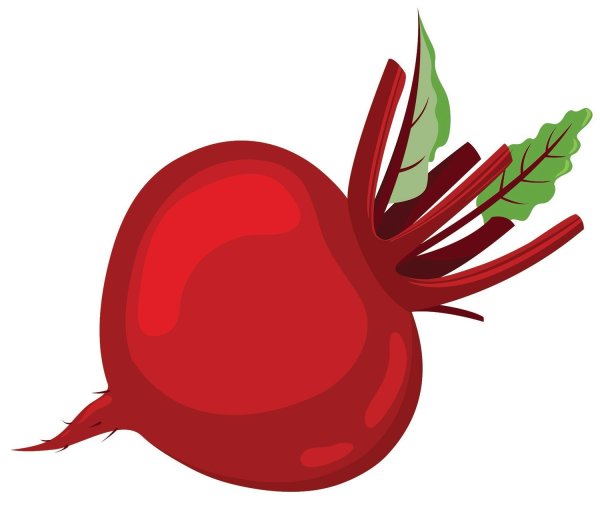 Свекла рисунок для детей