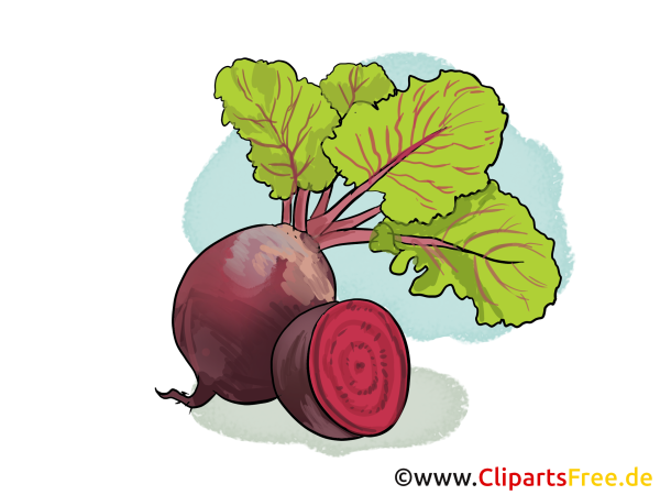 Свекла мультяшный