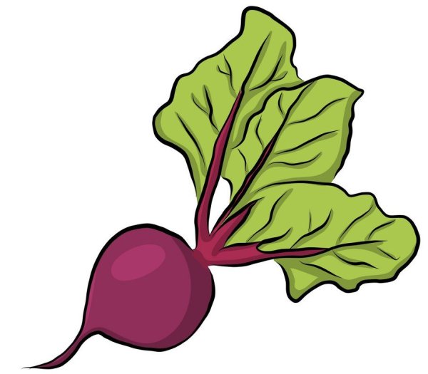 Свекла для детей на прозрачном фоне