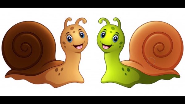 Улитка для детей на прозрачном фоне