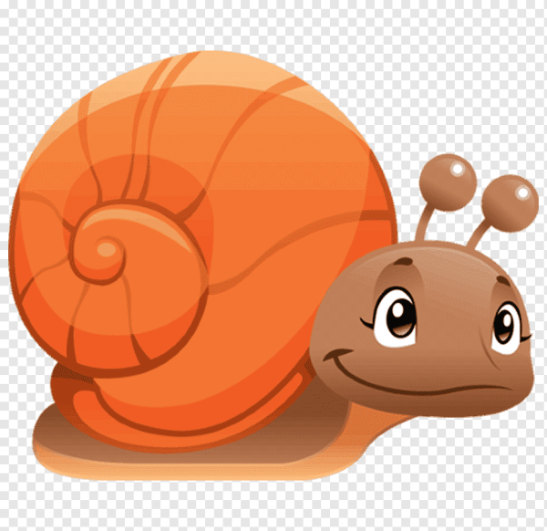 Улитка картинка для детей