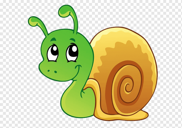 Изображение улитки для детей