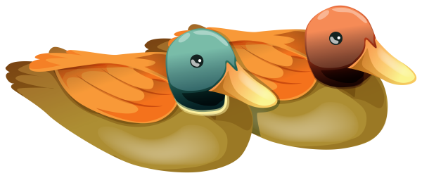 Утка клипарт на прозрачном фоне