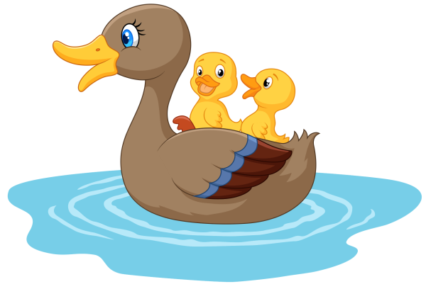 Утка с утятами вектор