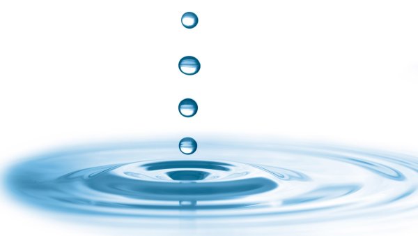 Капельки воды на прозрачном фоне
