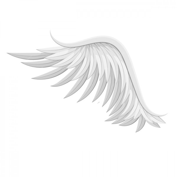 Крылья ангела на прозрачном фоне