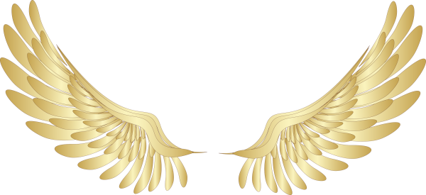 Крылья на белом фоне