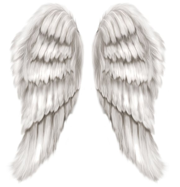 Крылья ангелов